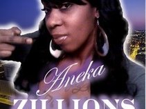 Aneka Zillions