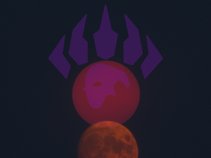 GAMMA PAW