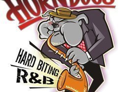 Image for Horndogs