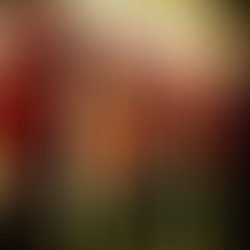 12509133 1125486244139805 3411590229270278261 n