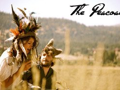 Image for The Peacoats