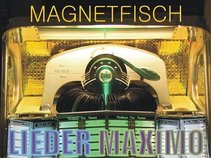 Magnetfisch