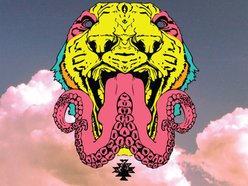 Image for The Spell