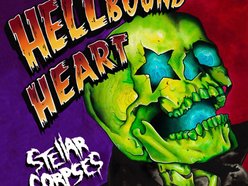 Stellar Corpses