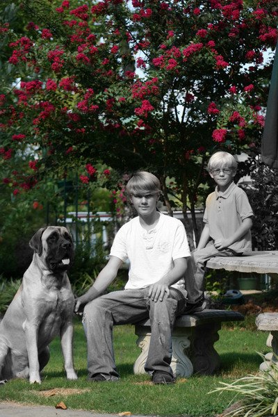 ReverbNation profile picture for @teresa