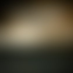 1341957677 perversumcover