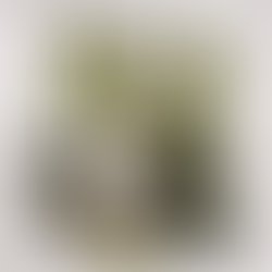 Ba8ab6b1 9d10 4104 981d f26cef740a6e 10336 0000061e59676e3f