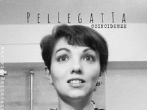 PELLEGATTA