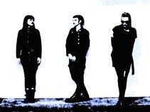 The Dark Shadows
