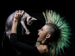 Image for Frankie Colt