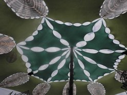 Daoine Sidhe - Sygnals - Dendrobates