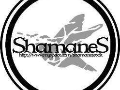 Image for Shamanes