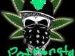 Pot Monstas