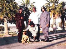 New Breed of Hustlas