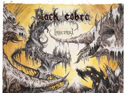 Image for Black Cobra