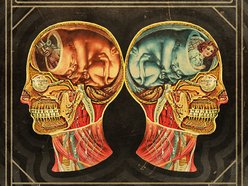 Image for Rubberneck Lions