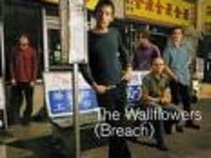 The Wallflowers