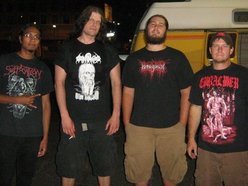 Image for Forged in Gore