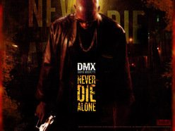 Image for DMX