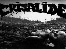 CRISALIDE since 1994