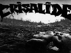 Image for CRISALIDE