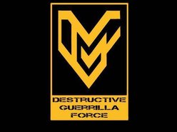 Image for Destructive Guerrilla Force