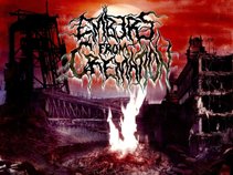 Embers From Cremation