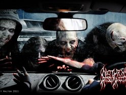 Image for Nocturnal Resurrection