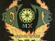 PEYOTE MX