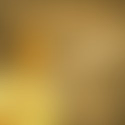 Concrete evolution album cover