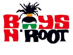 Image for Boys N Roots