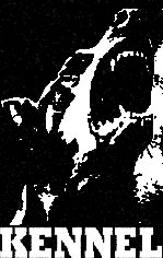 ReverbNation profile picture for @kennel