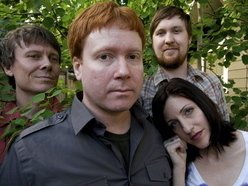 Image for The High Violets