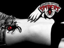 Narcoleptic Spiders