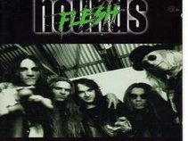 flesh hounds
