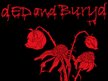 dED and BURYd