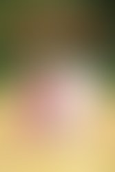 1450961490 hi res field