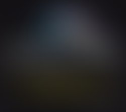 1457994336  r evolution