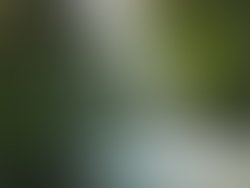 1332750434 dscn0233