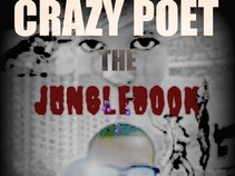CRAZY POET