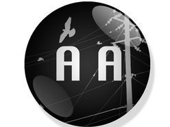 Image for Alive & Amplified