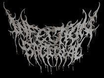 Infection Bacterial