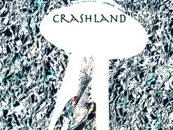 Image for Crashland