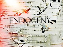 Endogeny
