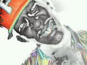 Chico Black