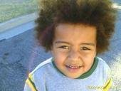 GREENLIGHT/LUZ VERDE