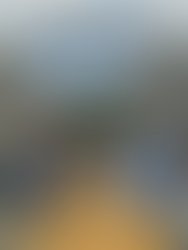 Debevino leon and maria