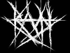 Image for RAVN