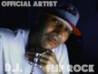 ARTIST FLIP ROCK."