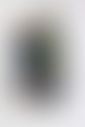 38cb787775cc68a61180c92d54ea5c2f34ac696f